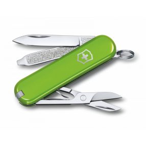   Victorinox Classic SD ajándék gravírozással | Smashed Avocado - 0.6223.43G