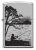 Zippo öngyújtó ajándék gravírozással - 205 Fisching Design 411336