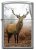 Zippo öngyújtó ajándék gravírozással - 49452 Deer Design 417188