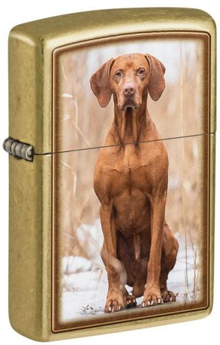 Zippo öngyújtó - 48167 Vizsla Design