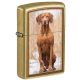 Zippo öngyújtó - 48167 Vizsla Design